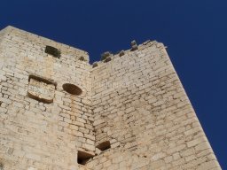 Castillo de Mula 2010